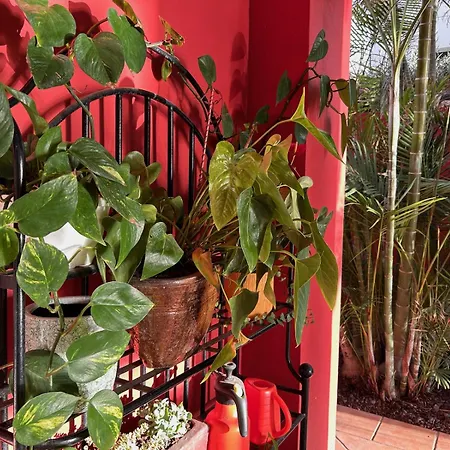 Villa Red-house *