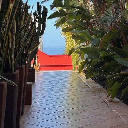 Red-house *